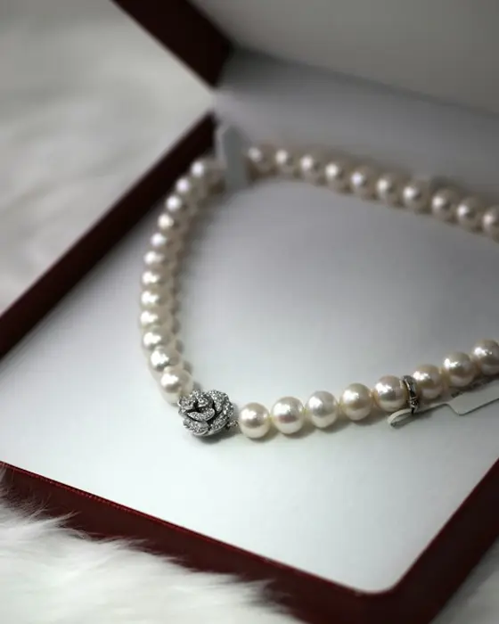 Lunaire Jewels Crystal Layered Necklace