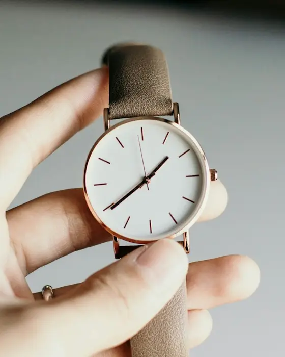Quartz & Co Petite Minimal Watch