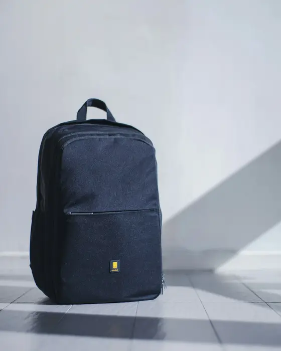 Eon Leather Leather Daypack