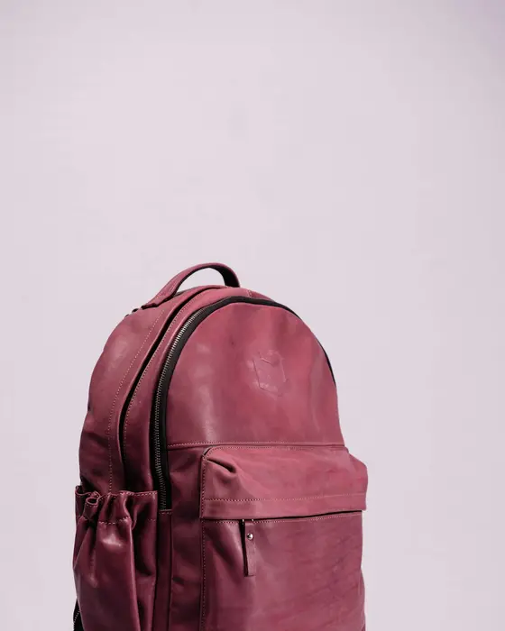 Eon Leather Leather Roll-Top Backpack
